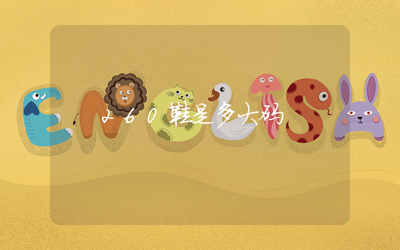 260鞋是多大码插图