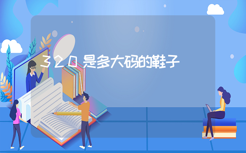 320是多大码的鞋子插图