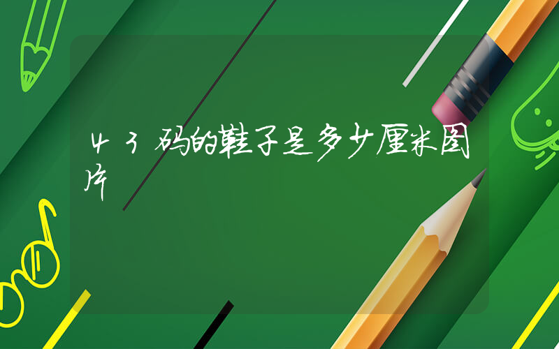 43码的鞋子是多少厘米图片插图