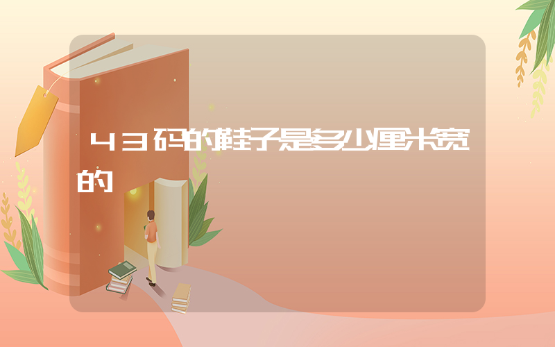 43码的鞋子是多少厘米宽的插图
