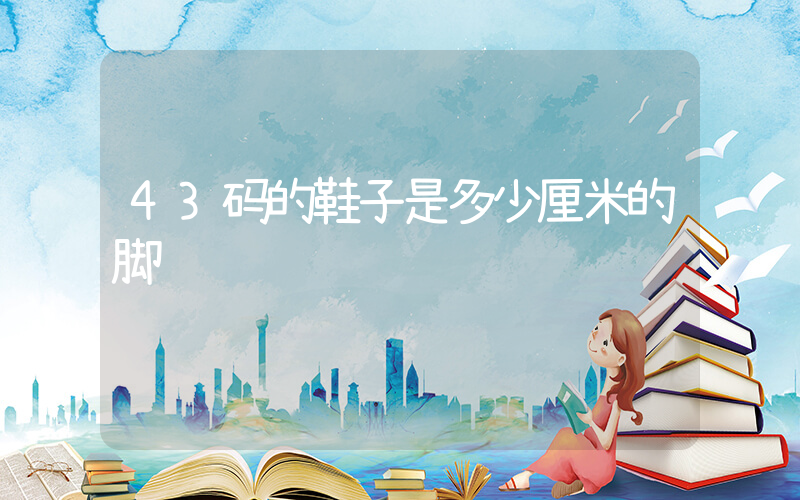 43码的鞋子是多少厘米的脚插图