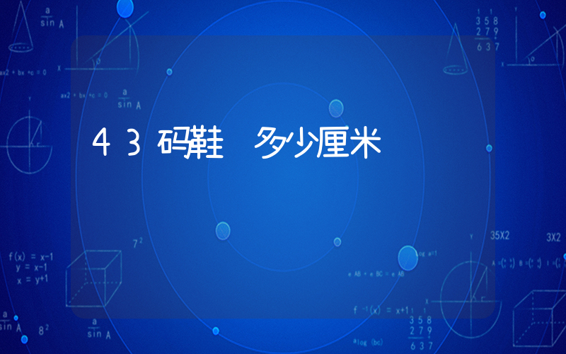 43码鞋长多少厘米插图