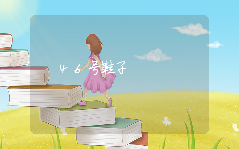 46号鞋子插图