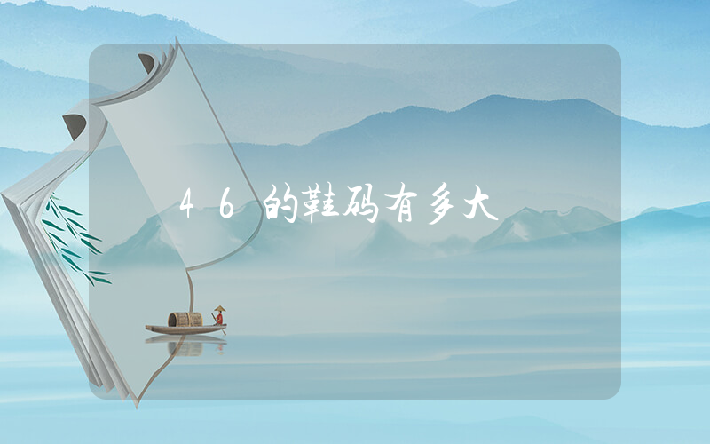 46的鞋码有多大插图