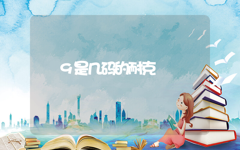 9是几码的耐克插图