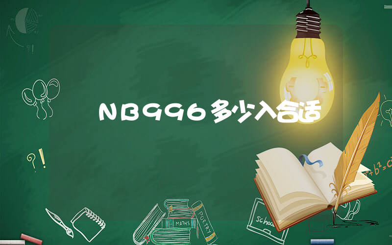 NB996多少入合适插图