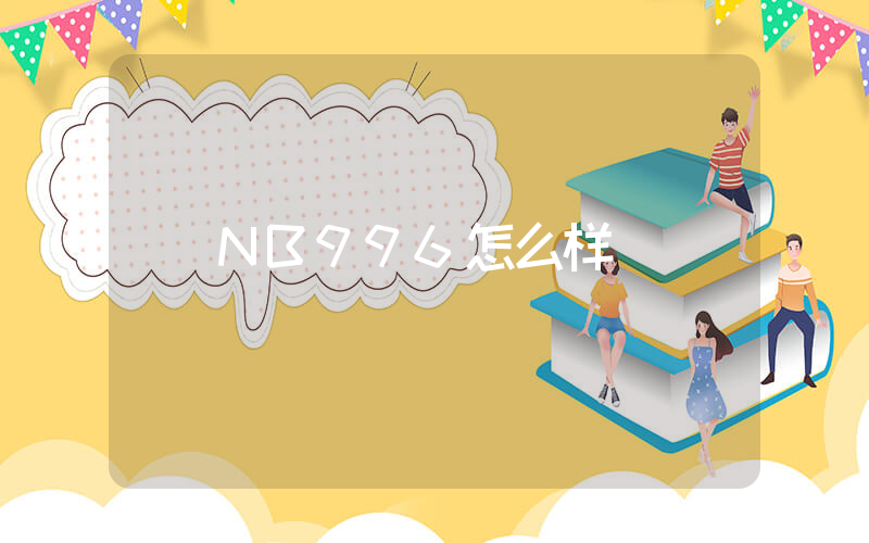 NB996怎么样插图