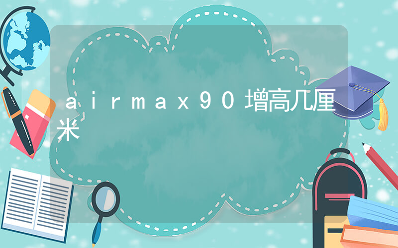 airmax90增高几厘米插图