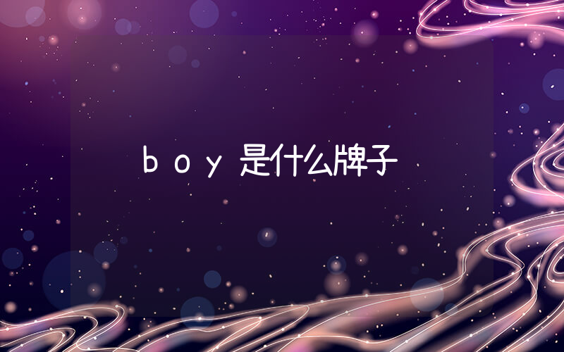 boy是什么牌子插图