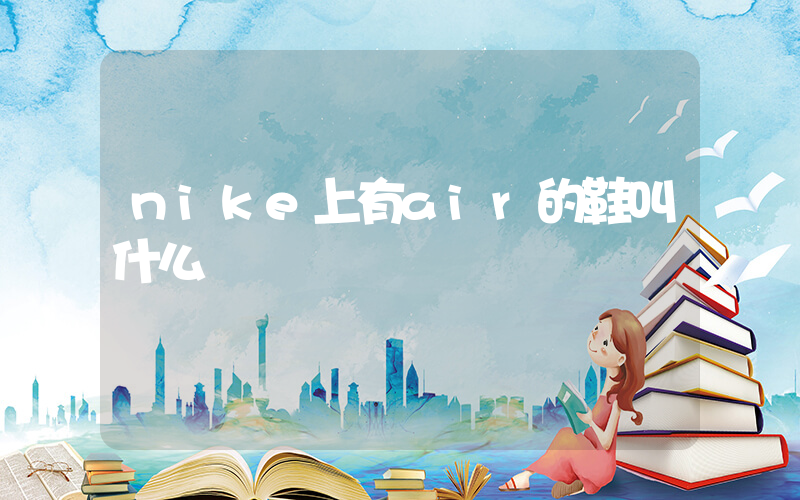 nike上有air的鞋叫什么插图