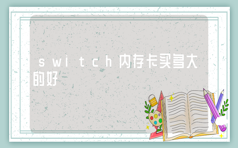 switch内存卡买多大的好插图