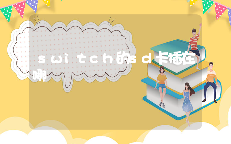 switch的sd卡插在哪插图