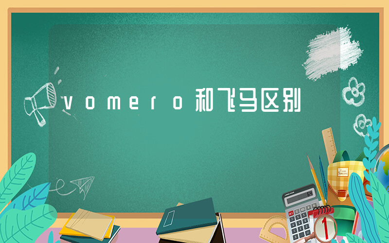 vomero和飞马区别插图