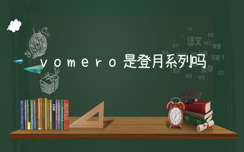 vomero是登月系列吗插图