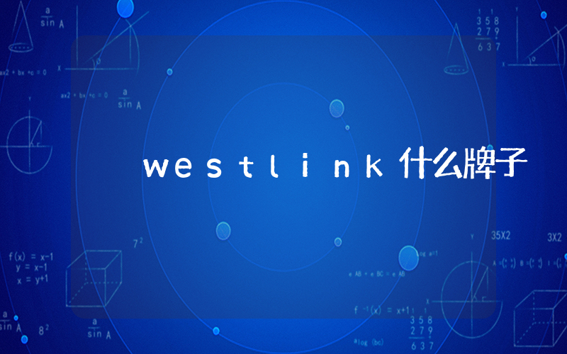 westlink什么牌子插图