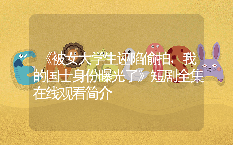 《被女大学生诬陷偷拍，我的国士身份曝光了》短剧全集在线观看简介插图
