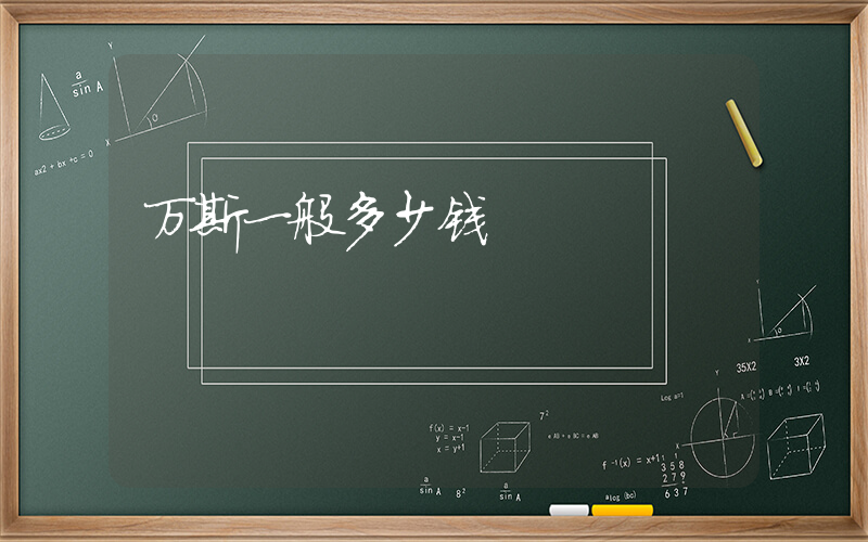 万斯一般多少钱插图