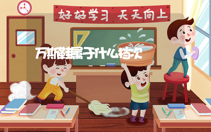 万斯鞋属于什么档次插图