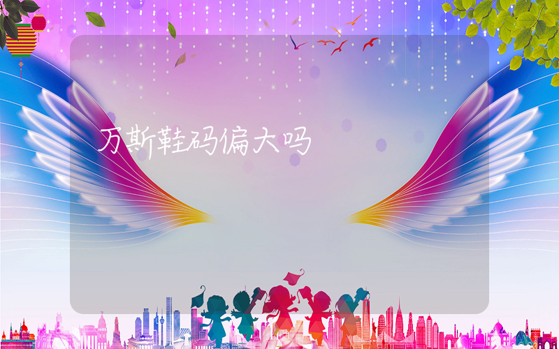 万斯鞋码偏大吗插图