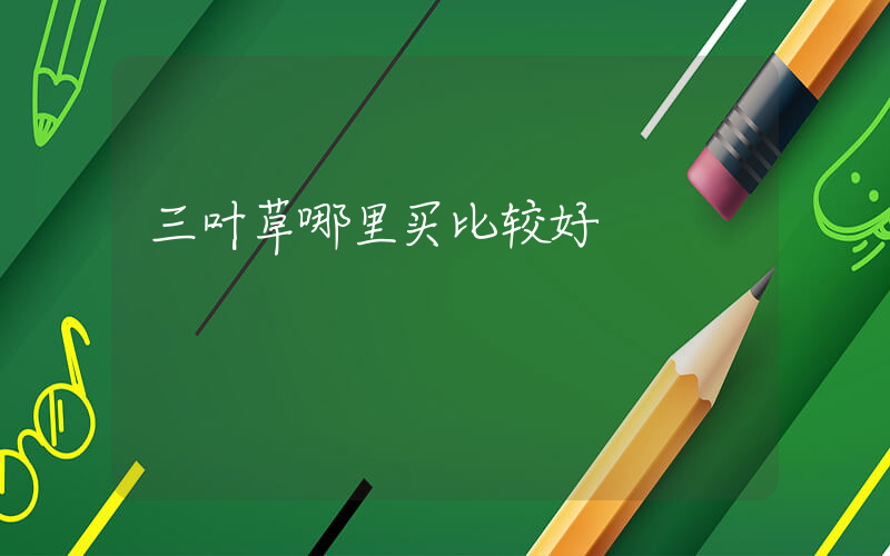 三叶草哪里买比较好插图