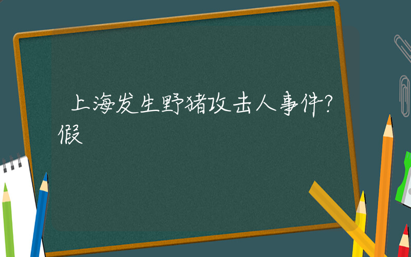 上海发生野猪攻击人事件？假插图