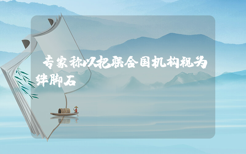 专家称以把联合国机构视为绊脚石插图