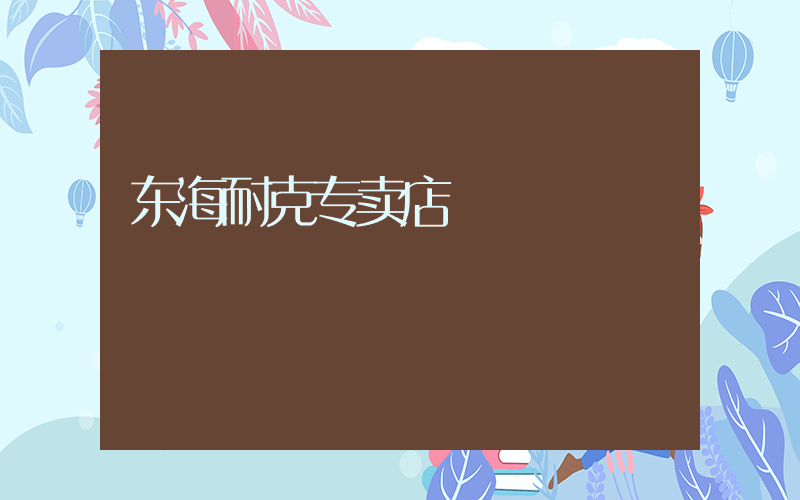 东海耐克专卖店插图