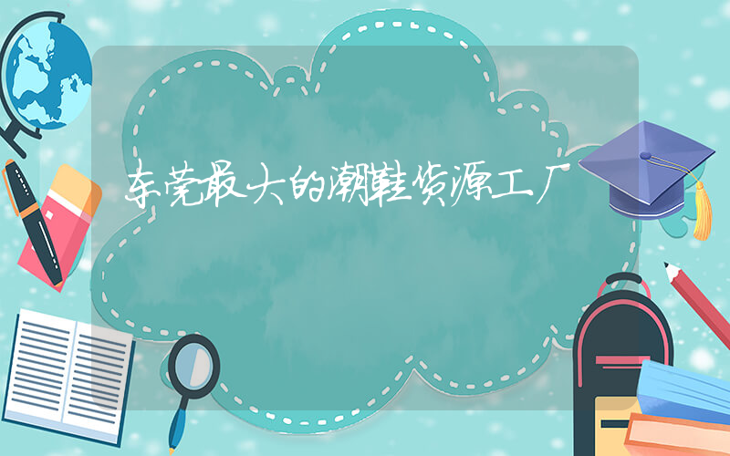 东莞最大的潮鞋货源工厂插图