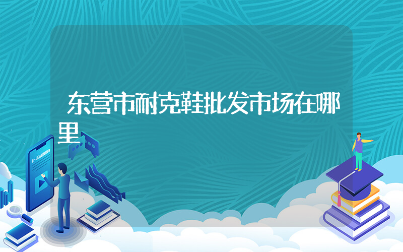 东营市耐克鞋批发市场在哪里插图
