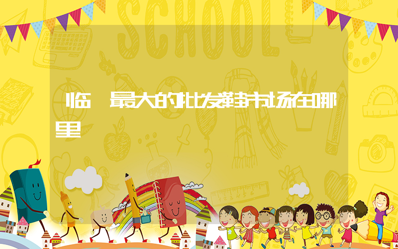 临沂最大的批发鞋市场在哪里插图