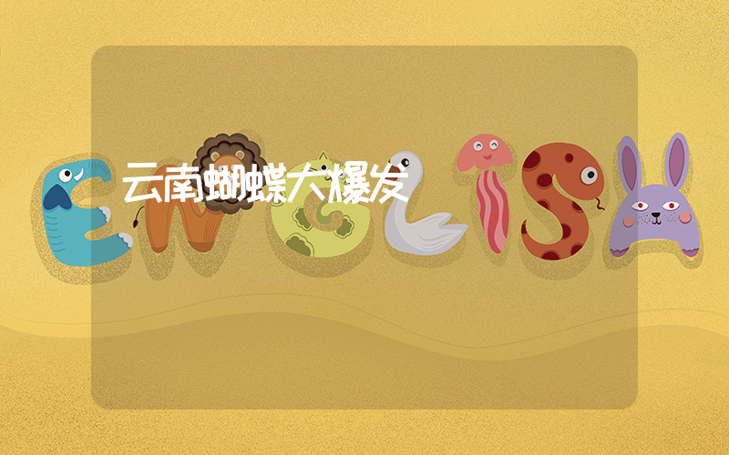 云南蝴蝶大爆发插图