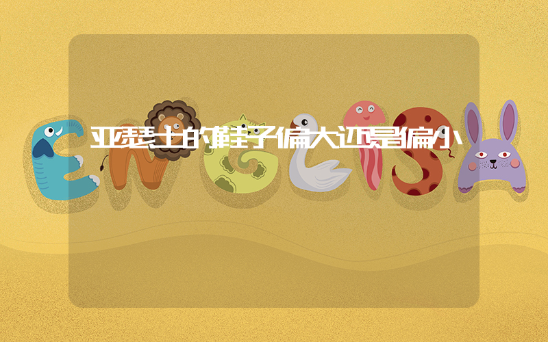 亚瑟士的鞋子偏大还是偏小插图