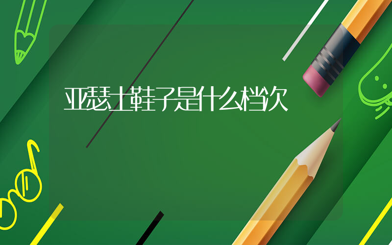 亚瑟士鞋子是什么档次插图
