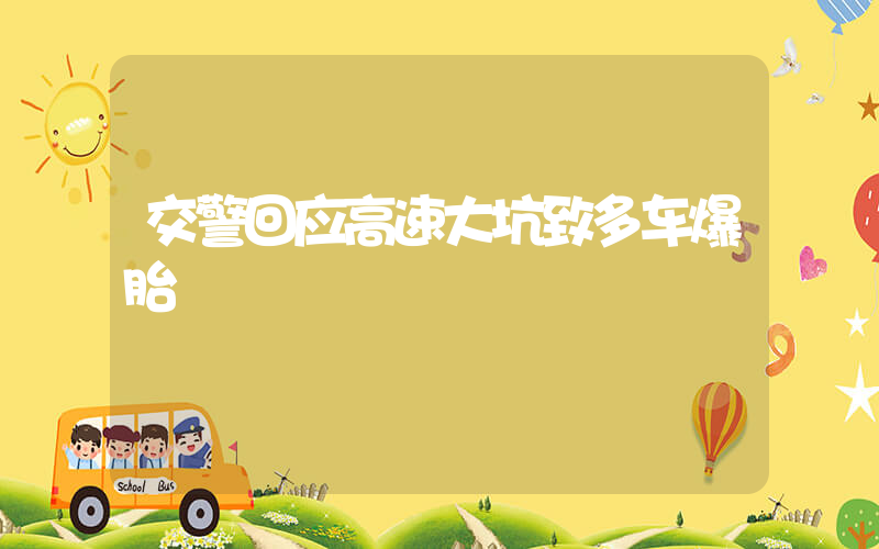 交警回应高速大坑致多车爆胎插图