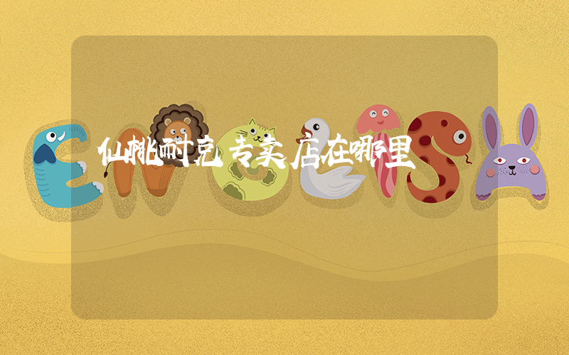 仙桃耐克专卖店在哪里插图
