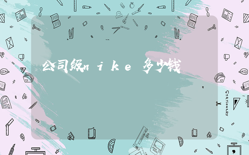 公司级nike多少钱插图