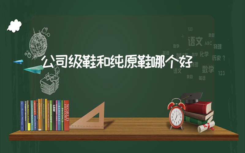 公司级鞋和纯原鞋哪个好插图