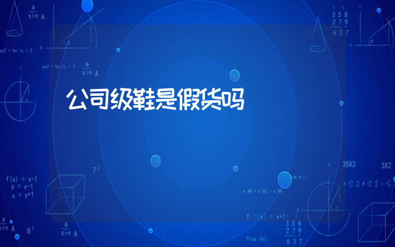 公司级鞋是假货吗插图