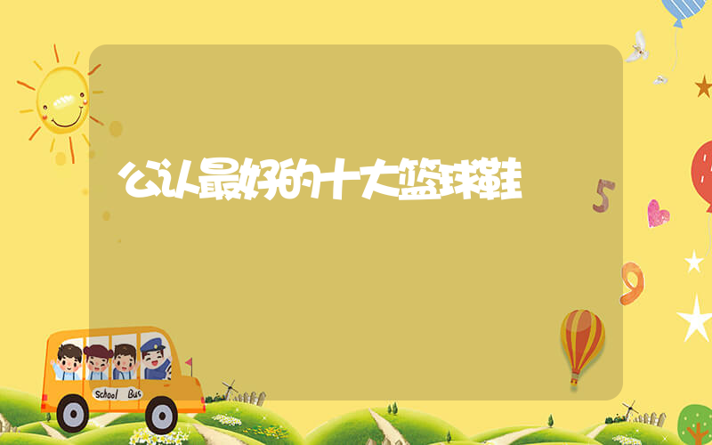 公认最好的十大篮球鞋插图