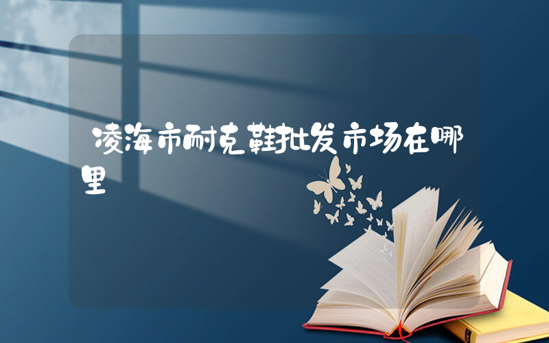 凌海市耐克鞋批发市场在哪里插图