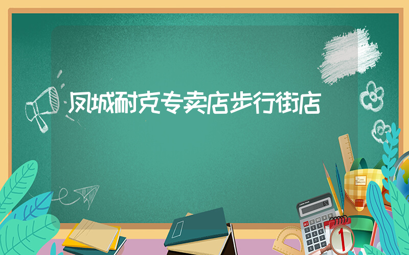 凤城耐克专卖店步行街店插图