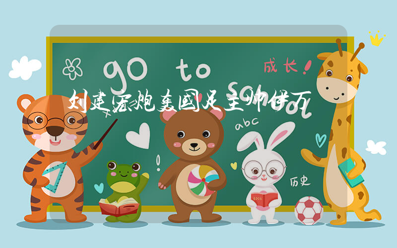 刘建宏炮轰国足主帅伊万插图
