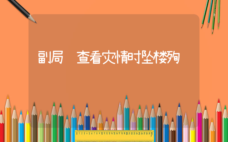 副局长查看灾情时坠楼殉职插图