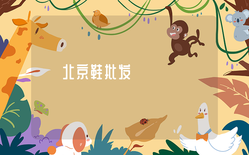 北京鞋批发插图