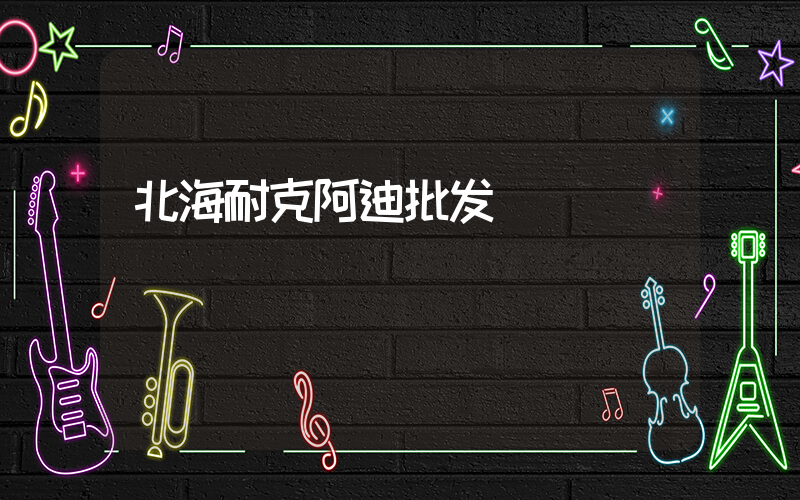 北海耐克阿迪批发插图