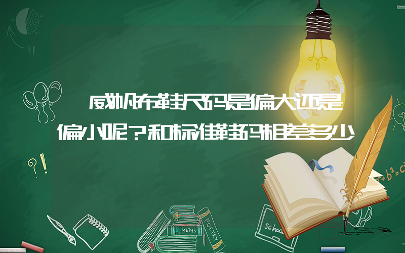 匡威帆布鞋尺码是偏大还是偏小呢？和标准鞋码相差多少插图