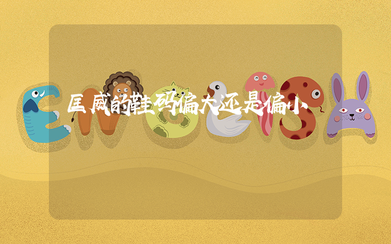 匡威的鞋码偏大还是偏小插图