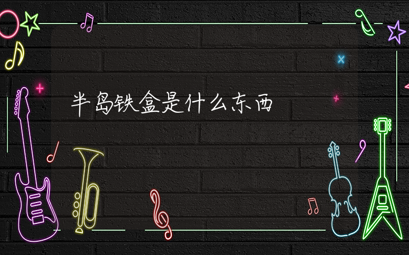 半岛铁盒是什么东西插图