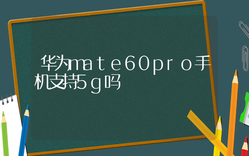 华为mate60pro手机支持5g吗插图