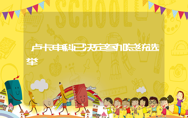 卢卡申科已决定参加总统选举插图